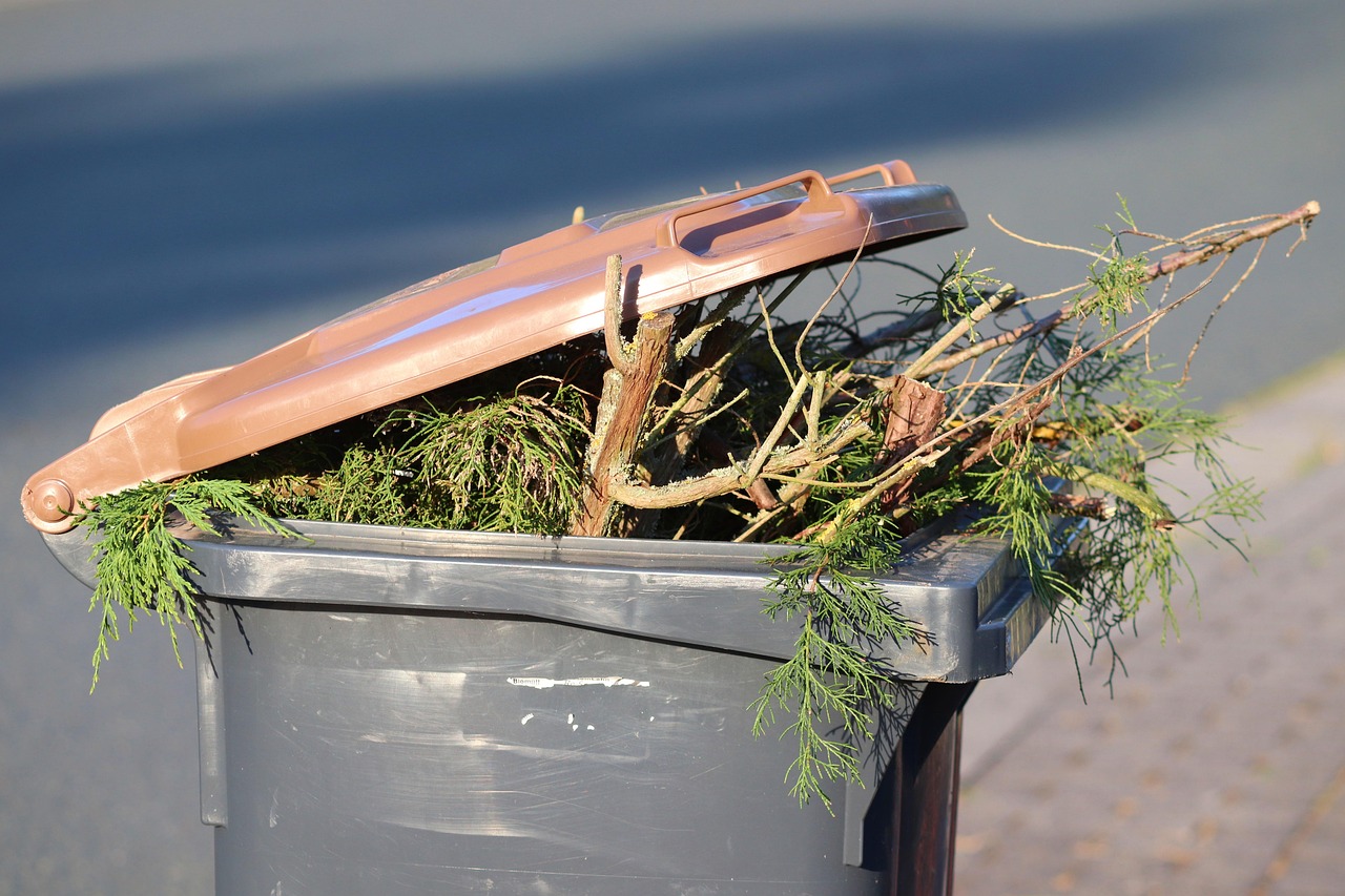 Garden Clearance