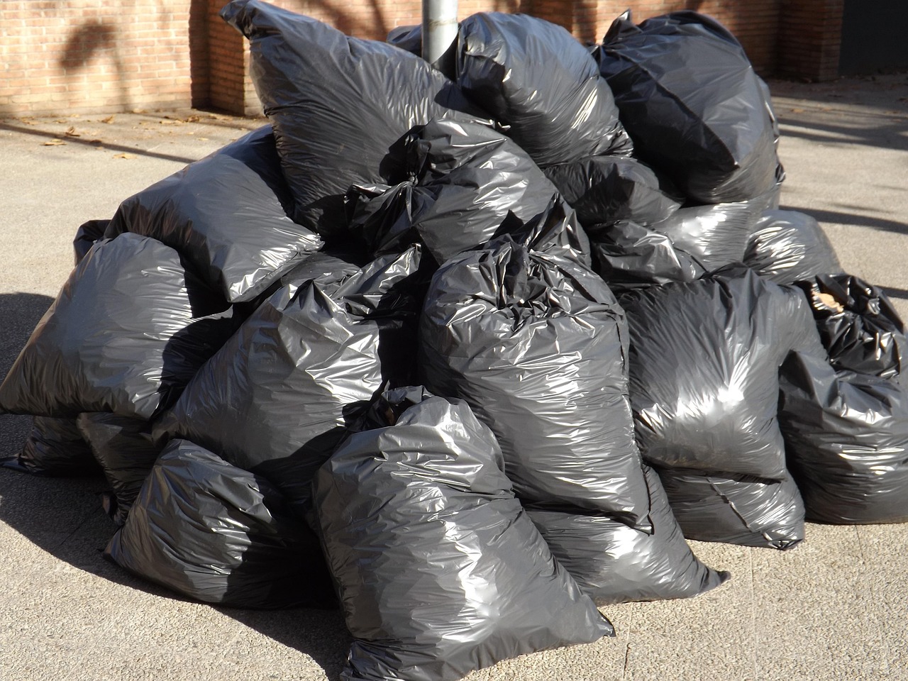 Black Bag Collection